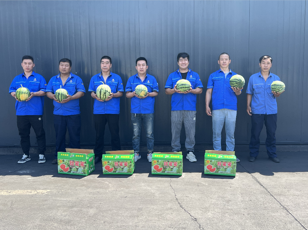管家婆资料精准大全